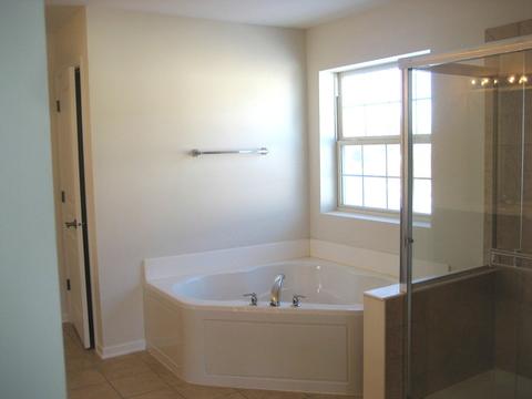 12409 Canterbury Dr, Plainfield, IL 60585 photo 13