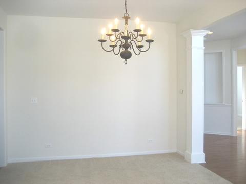 12409 Canterbury Dr, Plainfield, IL 60585 photo 9