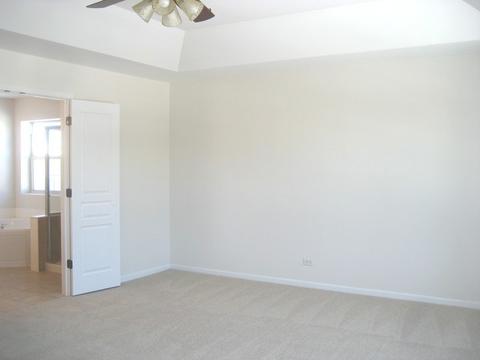 12409 Canterbury Dr, Plainfield, IL 60585 photo 11