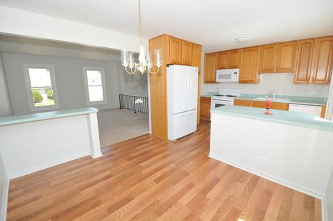 1145 Singleton Dr, Roselle, IL 60172 photo 8