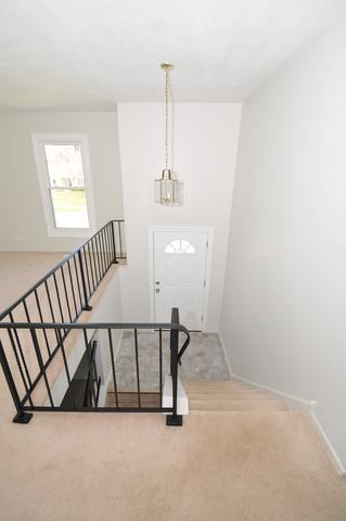 1145 Singleton Dr, Roselle, IL 60172 photo 3