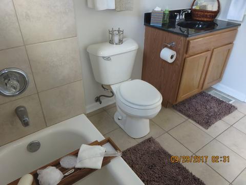 336 W Normal Pkwy, Chicago, IL 60621 photo 33