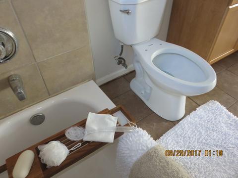336 W Normal Pkwy, Chicago, IL 60621 photo 7
