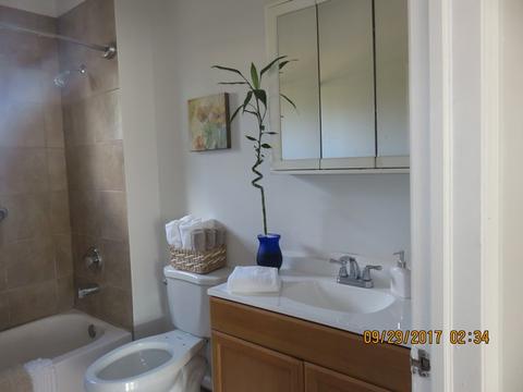 336 W Normal Pkwy, Chicago, IL 60621 photo 5