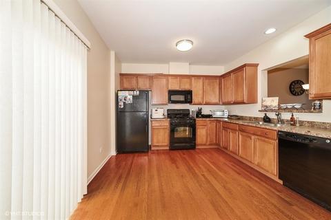 3385 Cameron Dr, Elgin, IL 60124 photo 4