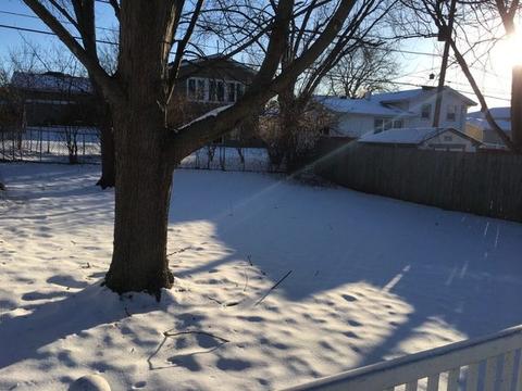 1305 Rosedale Ln, Hoffman Estates, IL 60169 photo 3
