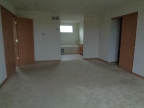 21211 White Cloud Dr, Matteson, IL 60443 photo 15