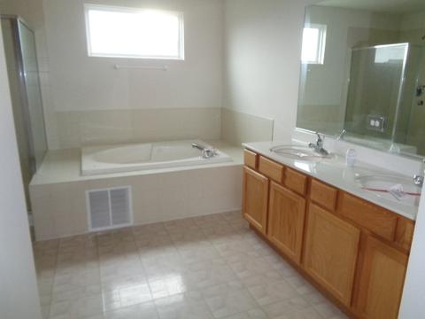 21211 White Cloud Dr, Matteson, IL 60443 photo 16