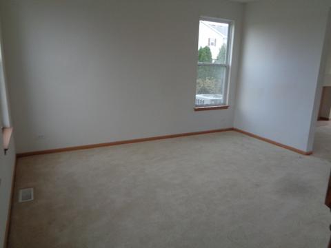 21211 White Cloud Dr, Matteson, IL 60443 photo 3