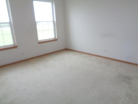 21211 White Cloud Dr, Matteson, IL 60443 photo 12