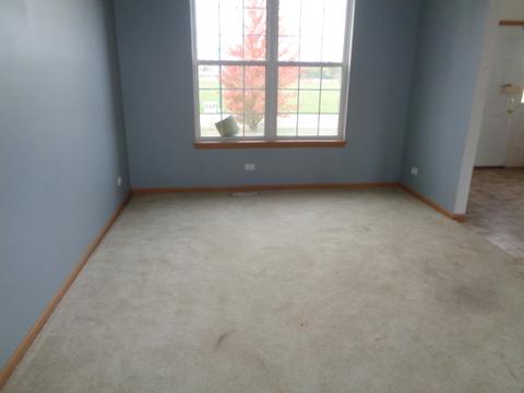 21211 White Cloud Dr, Matteson, IL 60443 photo 5