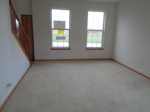 21211 White Cloud Dr, Matteson, IL 60443 photo 4