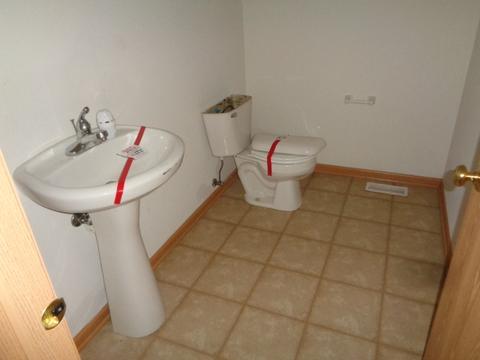 21211 White Cloud Dr, Matteson, IL 60443 photo 10
