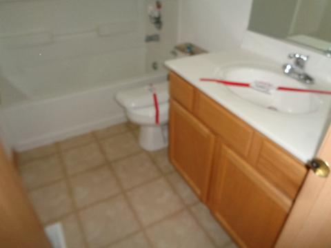 21211 White Cloud Dr, Matteson, IL 60443 photo 11