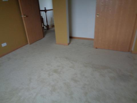 21211 White Cloud Dr, Matteson, IL 60443 photo 13