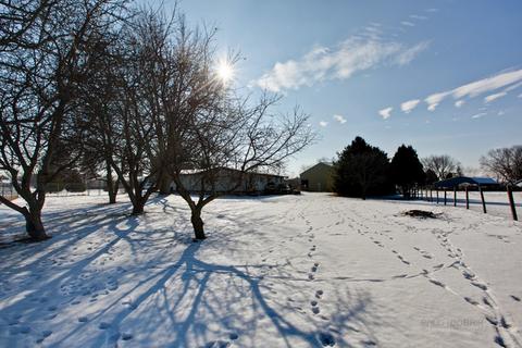 1504 Lee Ln, Spring Grove, IL 60081 photo 33