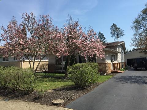 511 S 7th St, West Dundee, IL 60118 photo 29