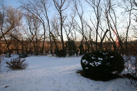 1331 Summersweet Ln, Bartlett, IL 60103 photo 14