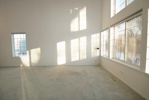 1331 Summersweet Ln, Bartlett, IL 60103 photo 8
