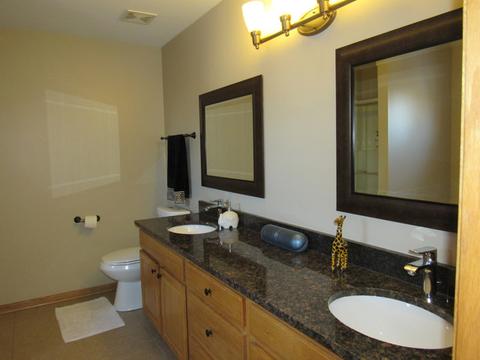 15815 Turner Ave, Markham, IL 60428 photo 24