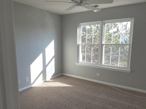 1317 Filly Ln, Bartlett, IL 60103 photo 9