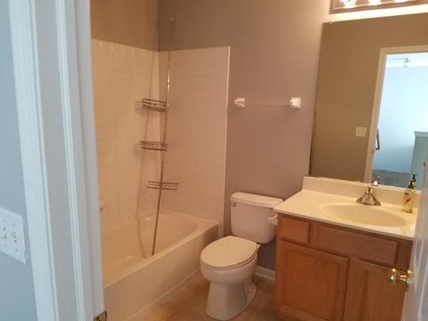1317 Filly Ln, Bartlett, IL 60103 photo 13