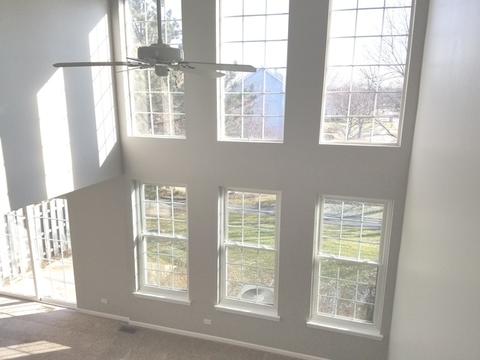 1317 Filly Ln, Bartlett, IL 60103 photo 3