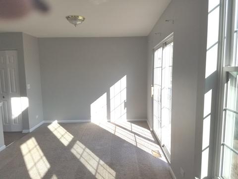 1317 Filly Ln, Bartlett, IL 60103 photo 5