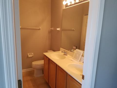 1317 Filly Ln, Bartlett, IL 60103 photo 10