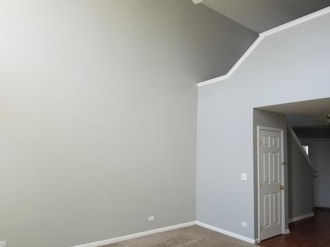 1317 Filly Ln, Bartlett, IL 60103 photo 4