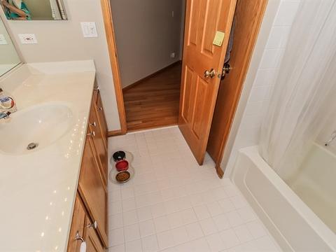 1504 Della Dr, Hoffman Estates, IL 60169 photo 23