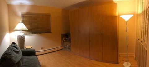 578 Fairway View Dr #3-1A, Wheeling, IL 60090 photo 16