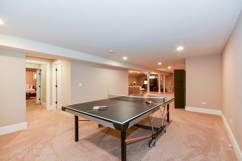 1023 Thunderbird Ln, Naperville, IL 60563 photo 22