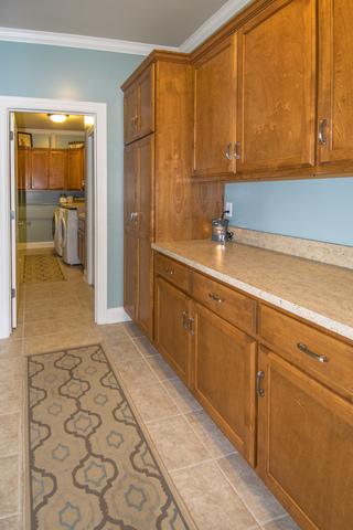 12912 Hawks Bill Ct, Plainfield, IL 60585 photo 28