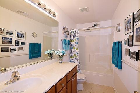 215 Garden Dr, Elgin, IL 60124 photo 21