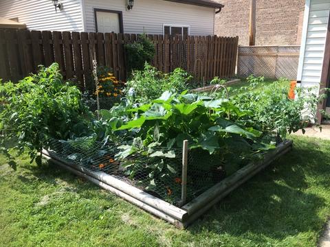 4700 W Hutchinson St, Chicago, IL 60641 photo 20
