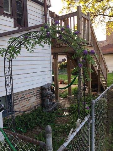 4700 W Hutchinson St, Chicago, IL 60641 photo 21