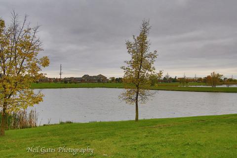 25656 Barrow Rd, Manhattan, IL 60442 photo 36