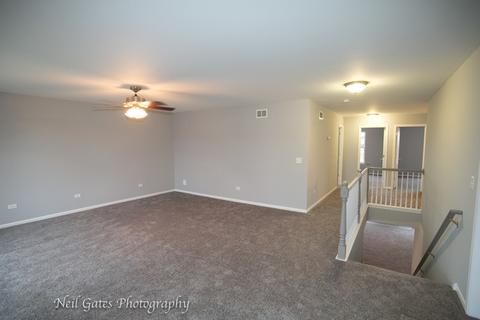 25656 Barrow Rd, Manhattan, IL 60442 photo 14