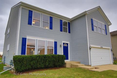 25656 Barrow Rd, Manhattan, IL 60442 photo 39