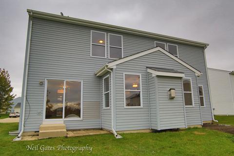 25656 Barrow Rd, Manhattan, IL 60442 photo 38