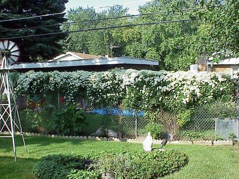 334 N Forest Ave, Hillside, IL 60162 photo 13