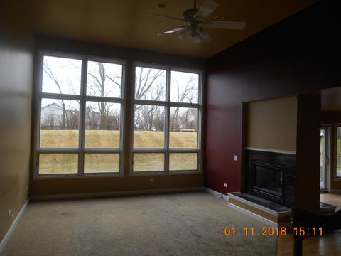 25063 W Mcmillin Dr, Channahon, IL 60410 photo 8