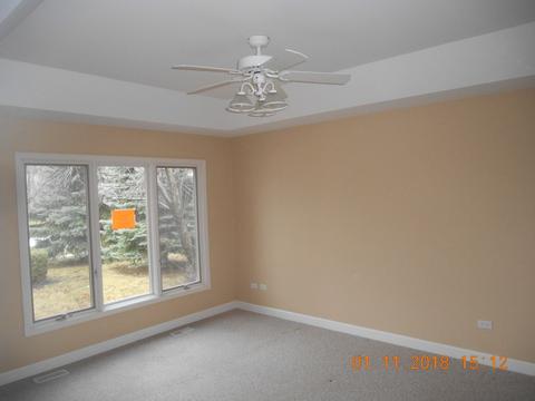 25063 W Mcmillin Dr, Channahon, IL 60410 photo 16