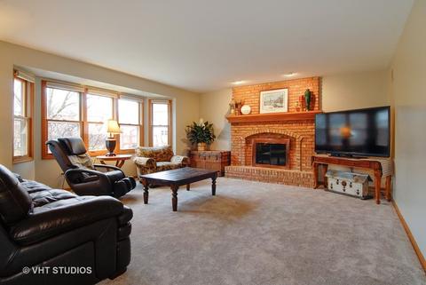 1220 Conan Doyle Rd, Naperville, IL 60564 photo 9