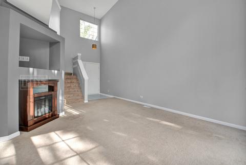 1285 Silk Oak Ln, Bartlett, IL 60103 photo 8