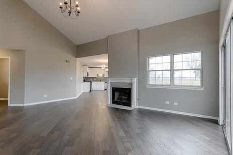21235 Silktree Cir, Plainfield, IL 60544 photo 10