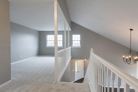 21235 Silktree Cir, Plainfield, IL 60544 photo 20