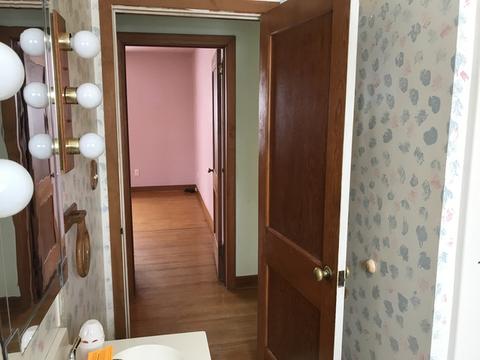 321 North St, Buda, IL 61314 photo 18