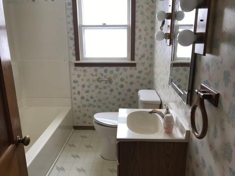 321 North St, Buda, IL 61314 photo 19